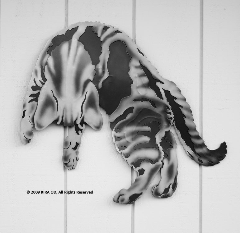 WEBCAT JPEGs X-LARGE/C-0_WebCat_XL_Banjee_Pouncing_PATINA_3890.jpg
